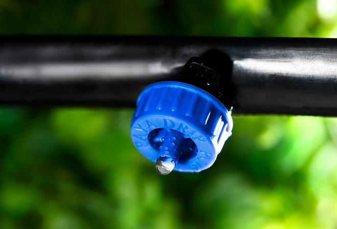 آبیاری قطره ای چیست؟